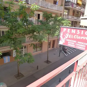 El Ciervo Pensión